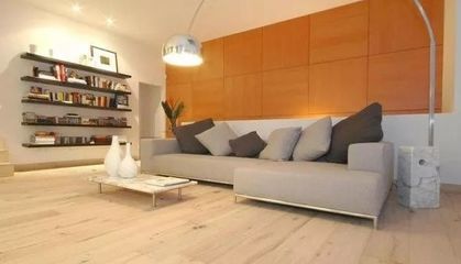 LVT地板的市場現(xiàn)狀和前景預(yù)測