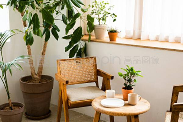 室內(nèi)植物裝飾花盆,桌子