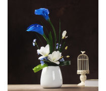 藍(lán)色馬蹄蓮 點(diǎn)綴室內(nèi)設(shè)計(jì)的優(yōu)雅之選